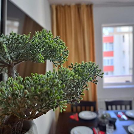 Aviliz Apartament Buşteni Zewnętrze zdjęcie