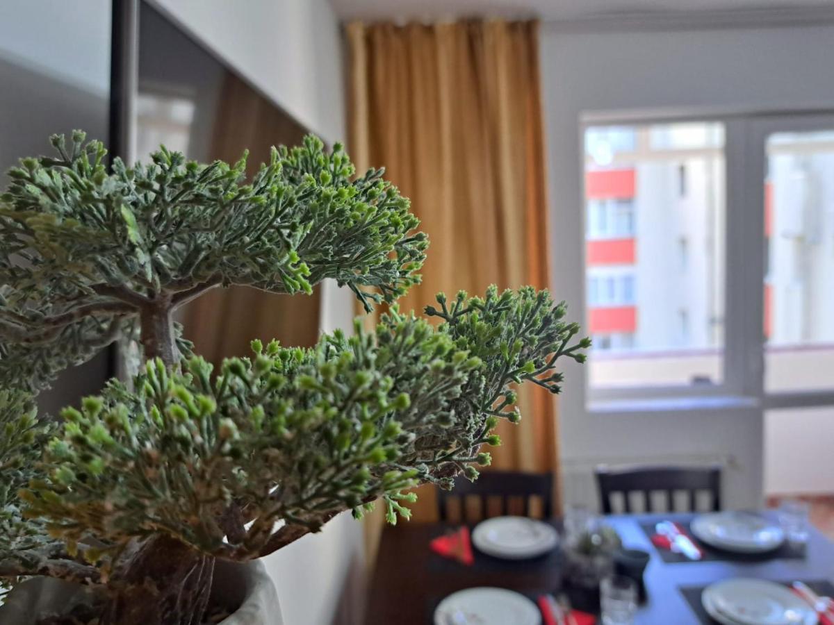 Aviliz Apartament Buşteni Zewnętrze zdjęcie