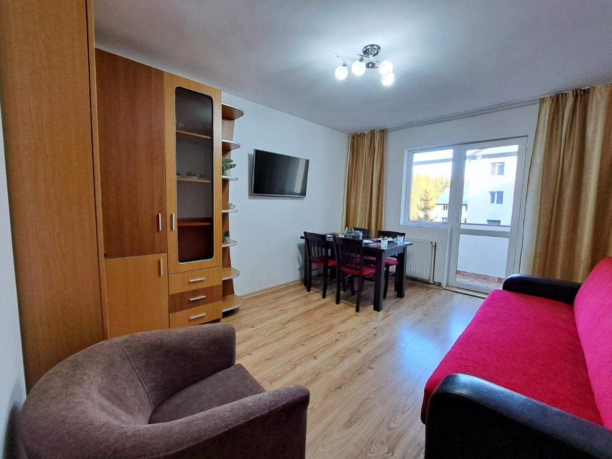 Aviliz Apartament Buşteni Zewnętrze zdjęcie