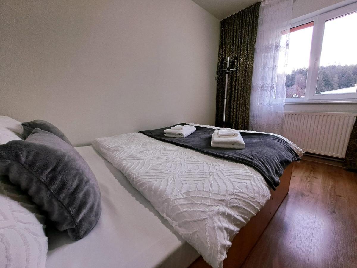 Aviliz Apartament Buşteni Zewnętrze zdjęcie
