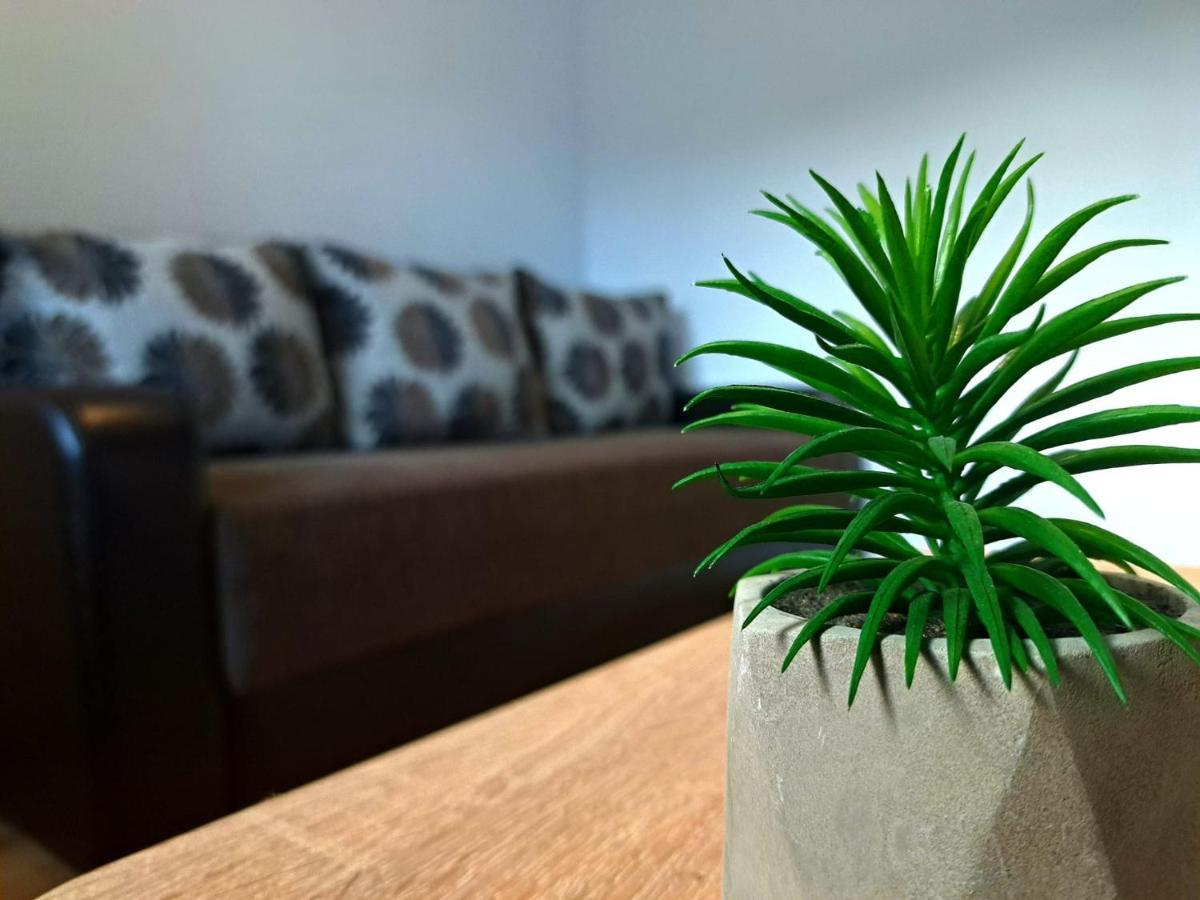 Aviliz Apartament Buşteni Zewnętrze zdjęcie