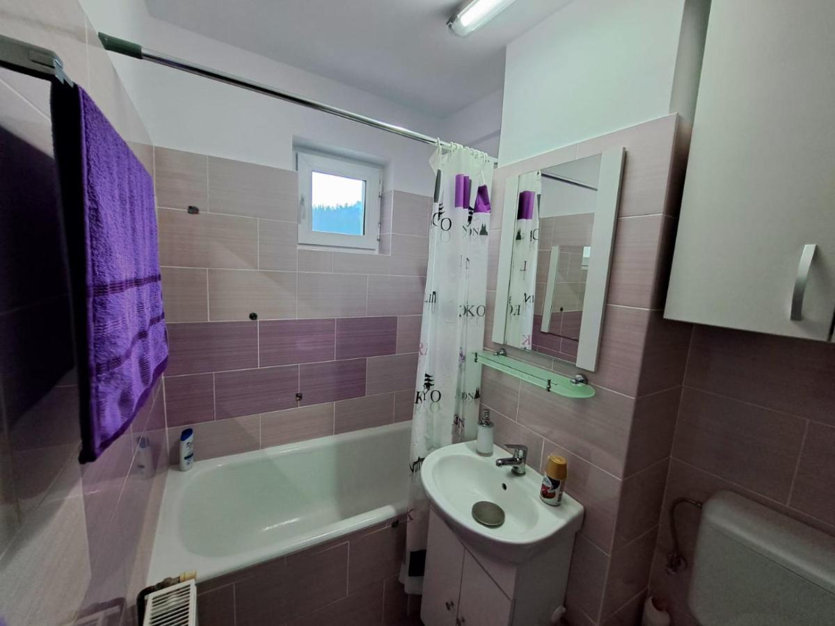 Aviliz Apartament Buşteni Zewnętrze zdjęcie