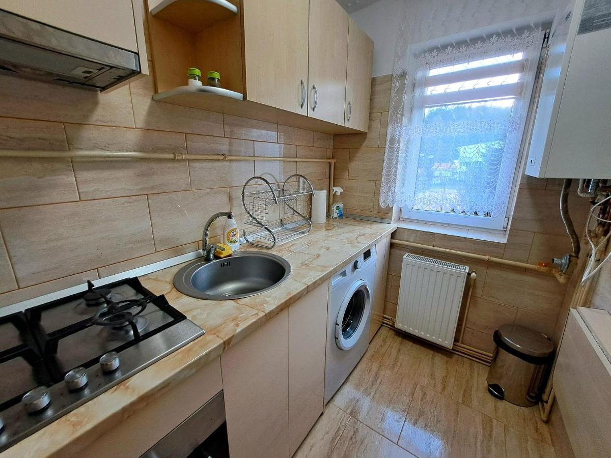 Aviliz Apartament Buşteni Zewnętrze zdjęcie