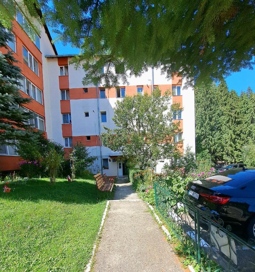 Aviliz Apartament Buşteni Zewnętrze zdjęcie