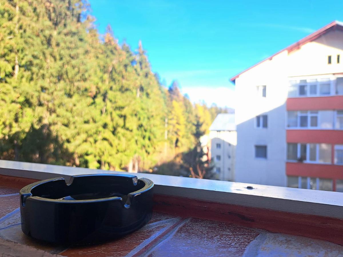 Aviliz Apartament Buşteni Zewnętrze zdjęcie