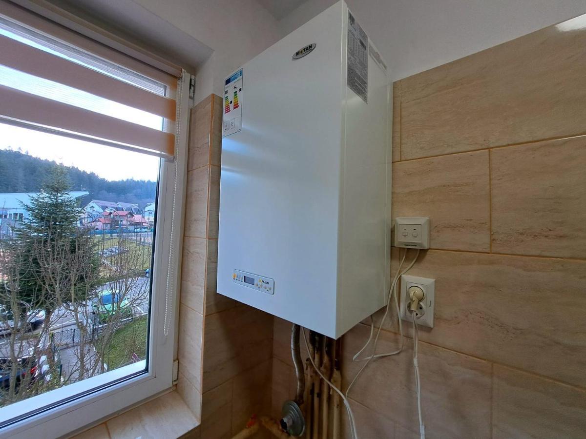 Aviliz Apartament Buşteni Zewnętrze zdjęcie