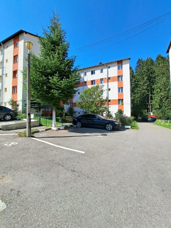 Aviliz Apartament Buşteni Zewnętrze zdjęcie
