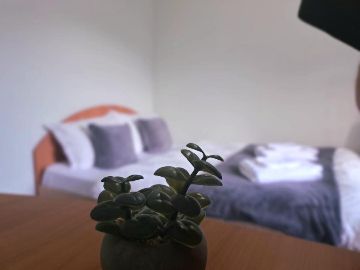 Aviliz Apartament Buşteni Zewnętrze zdjęcie